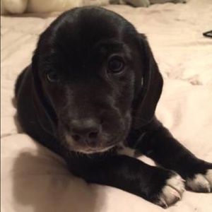 Meet your Posher, Stacy